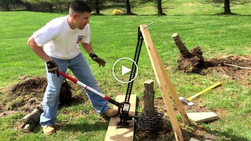 Pulling out the stump using a winch and a tire Canvids