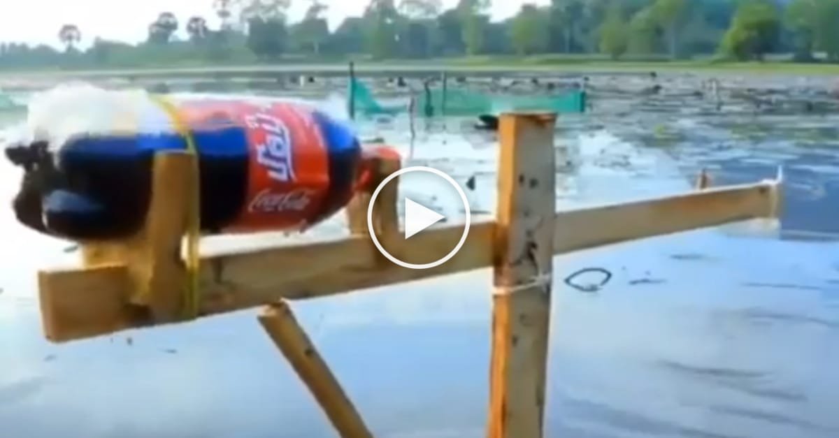 He built an automatic fishing rod himself (Invention of the Year) Canvids