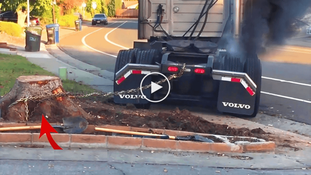Remove tree stump with hilift jack Canvids